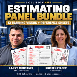 Estimating Panel Bundle